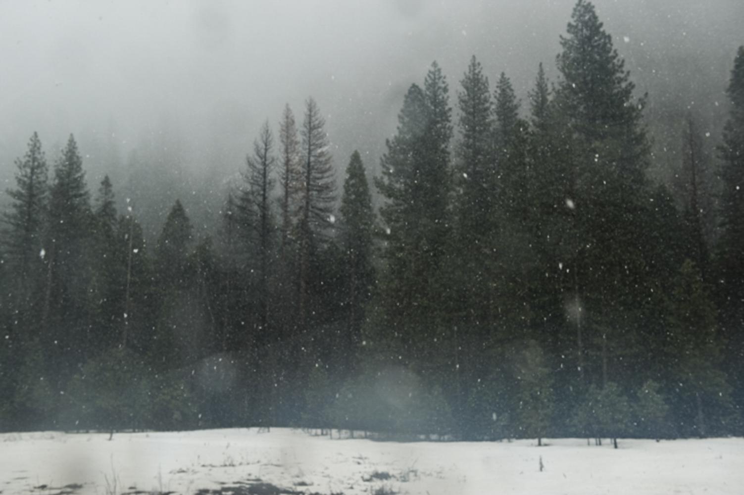 ENVIRONMENT - The first snow of winter in the valley of Yosemite...