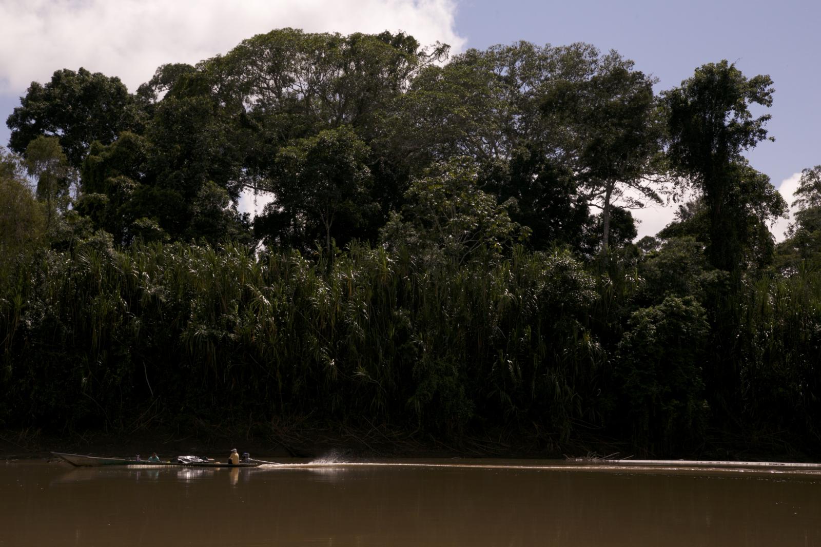 La carretera que corta el corazón de la Amazonía