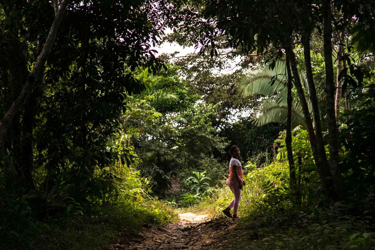 La carretera que corta el corazón de la Amazoní­a