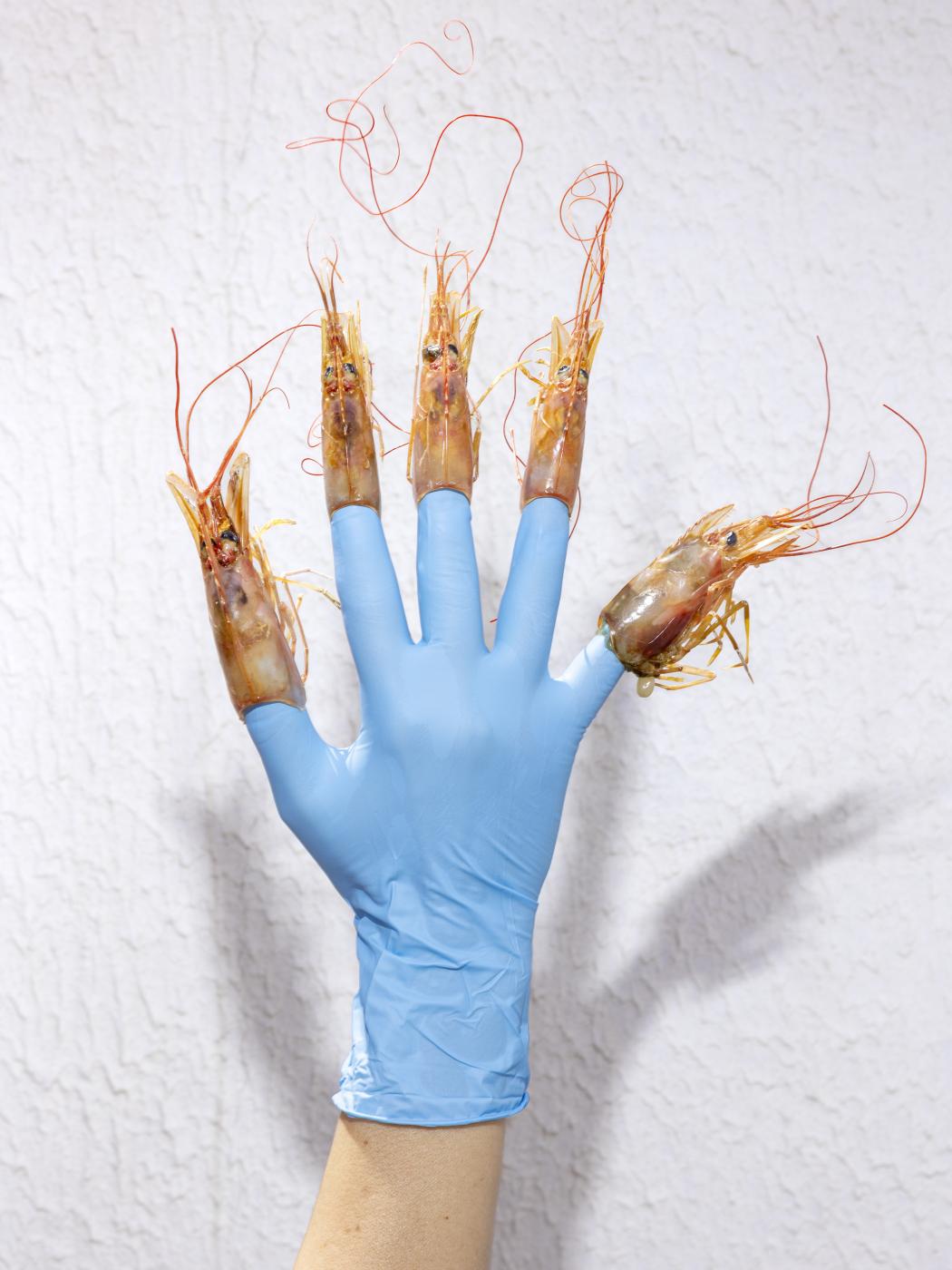 Shrimp is exported from Argenti...from flour to pharmaceuticals. 