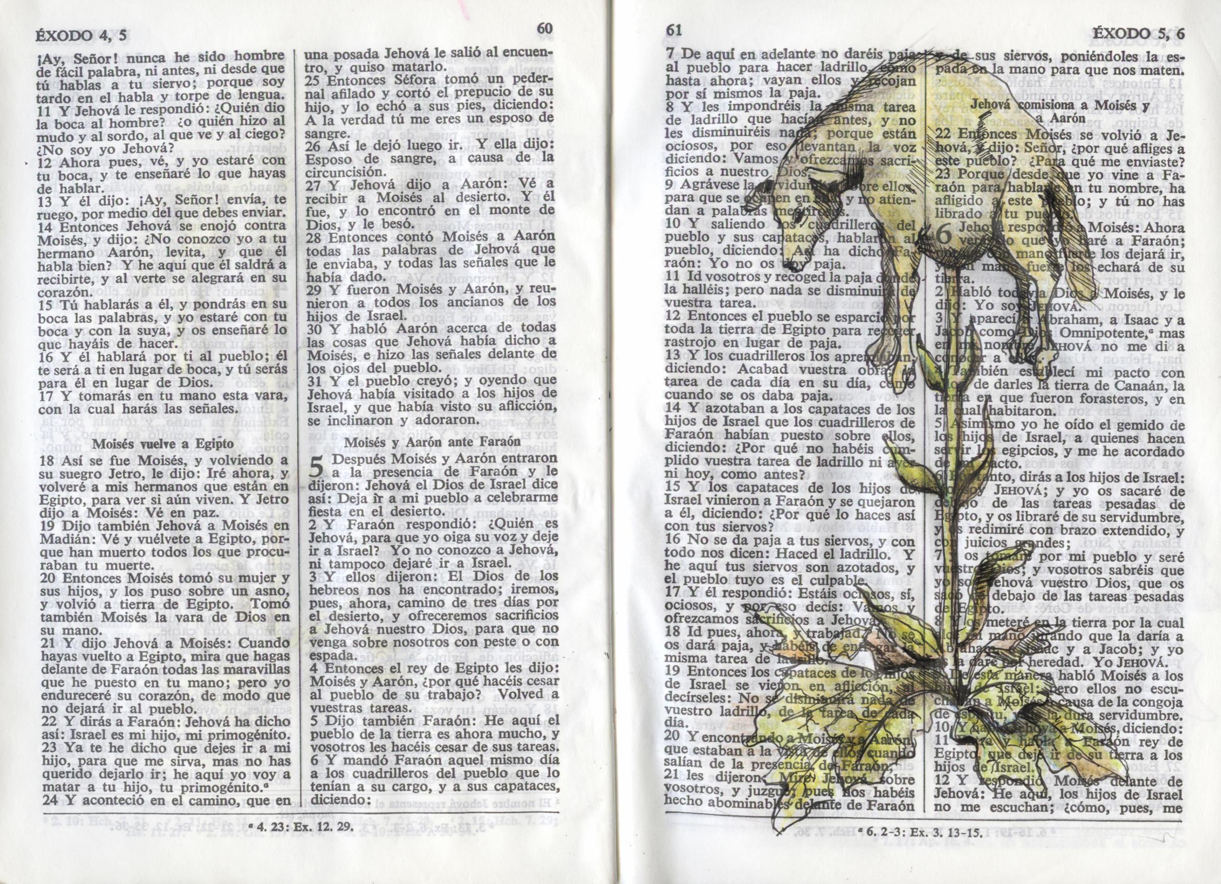 The Book of Nature - 