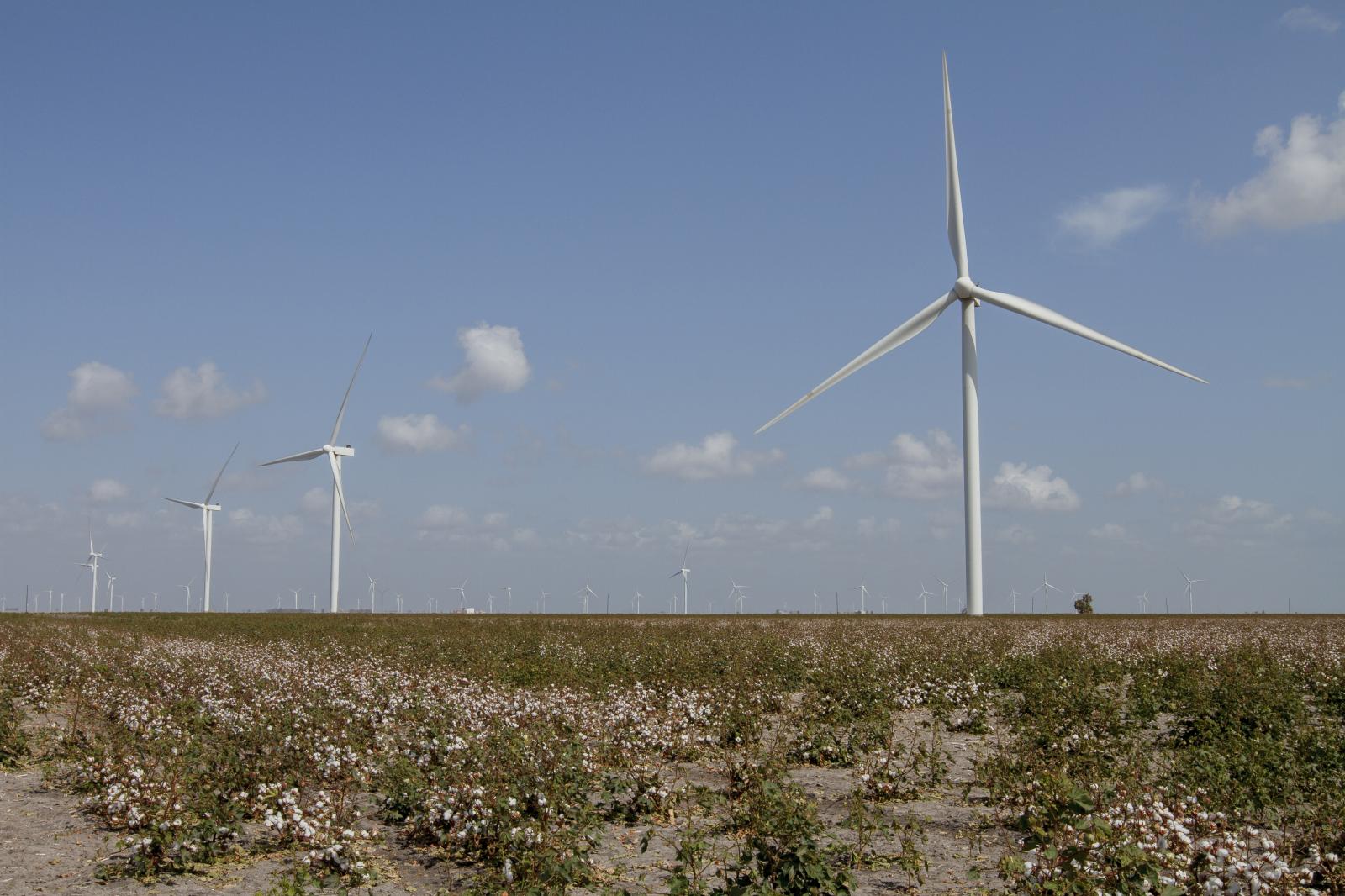 Coastal South Texas Wind Turbines