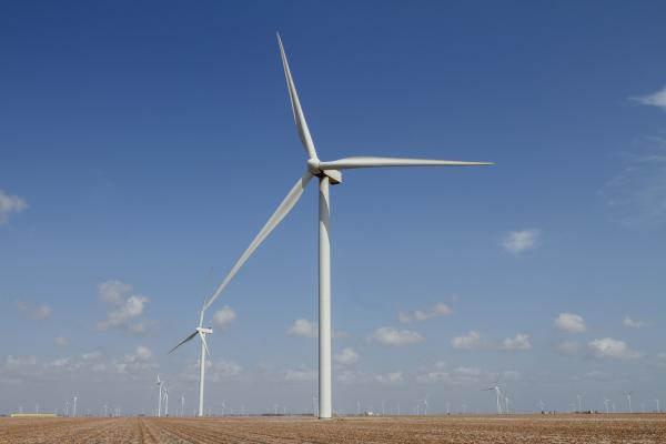 Coastal South Texas Wind Turbines | Buy this image