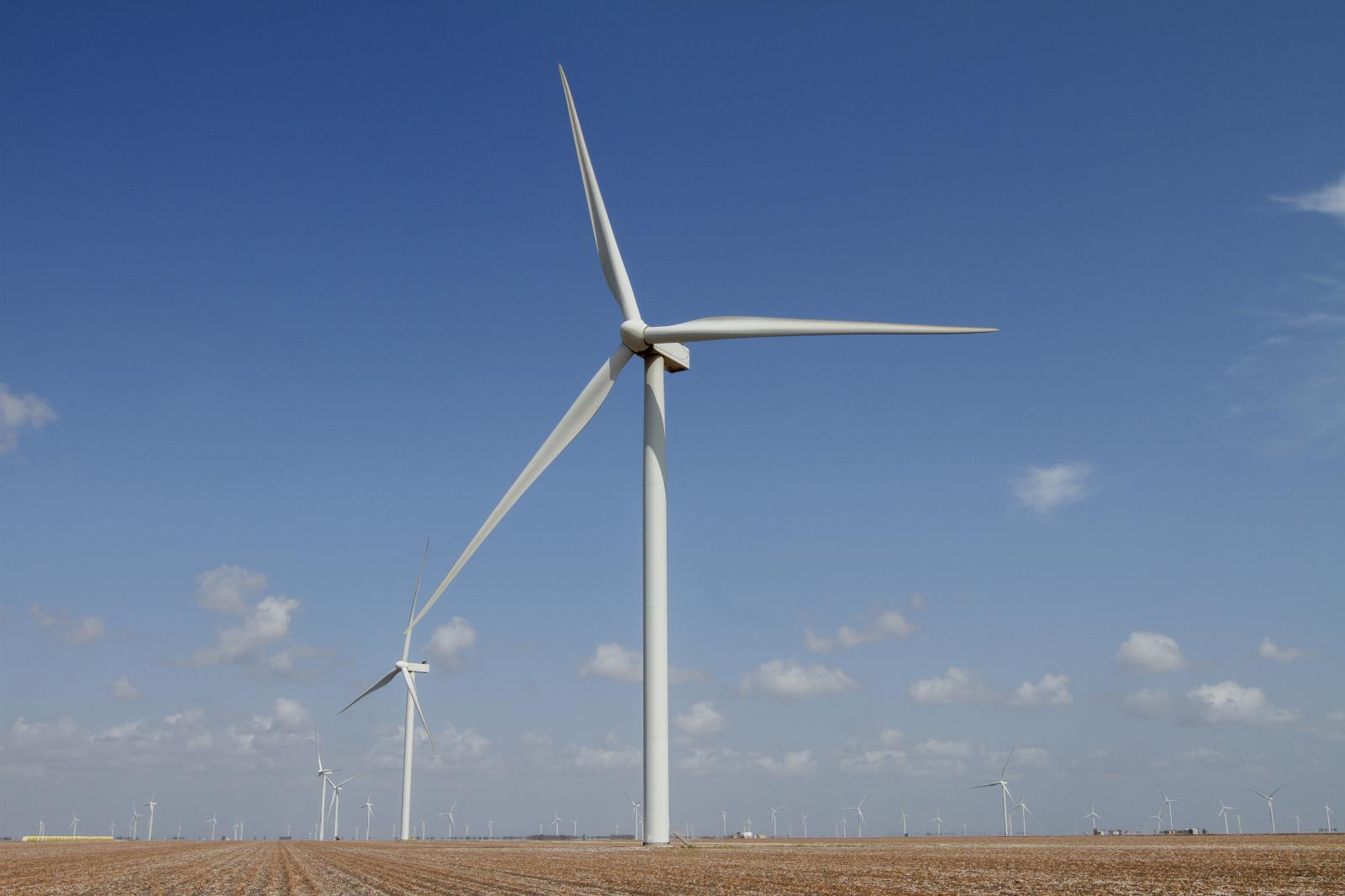 Coastal South Texas Wind Turbines