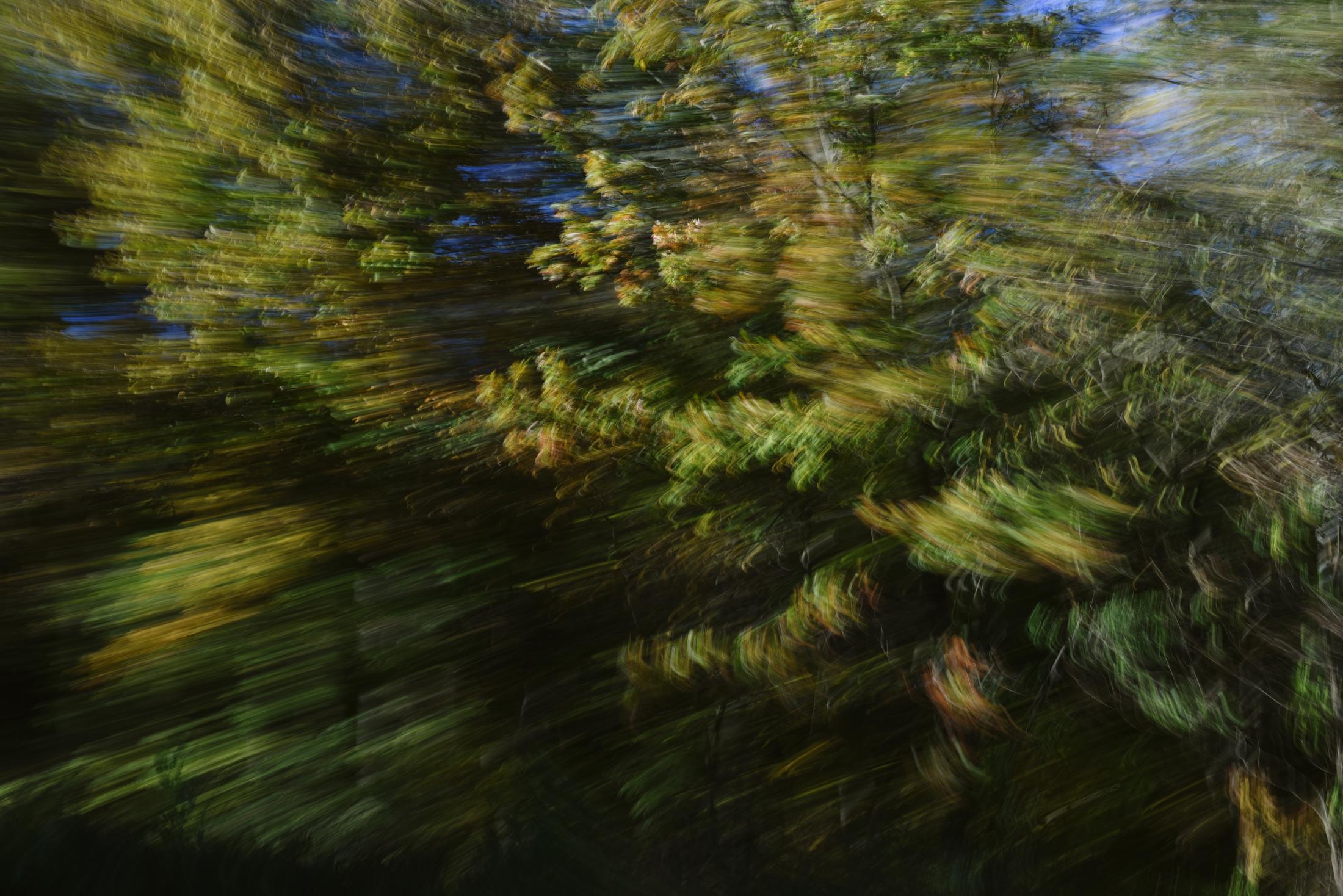 Trees are photographed through a car window Oct. 27, 2019 somewhere along I-64 in Indiana. 