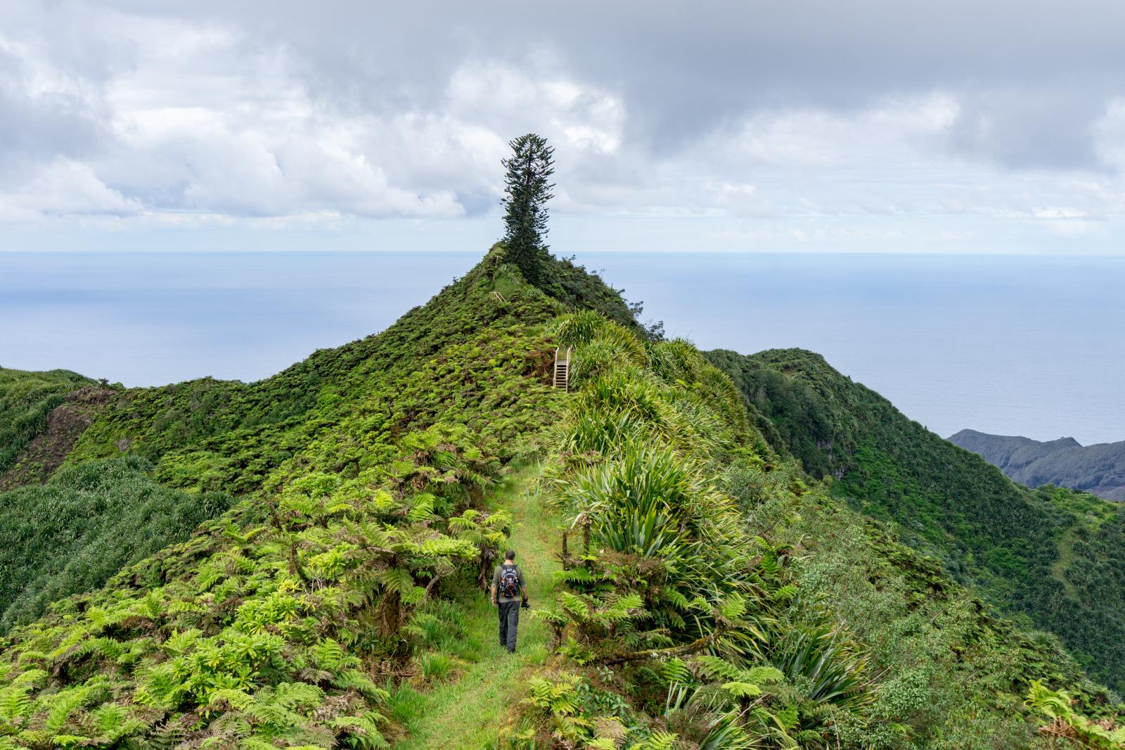 Viaggio sull'isola di Sant'Elena, territorio inglese
