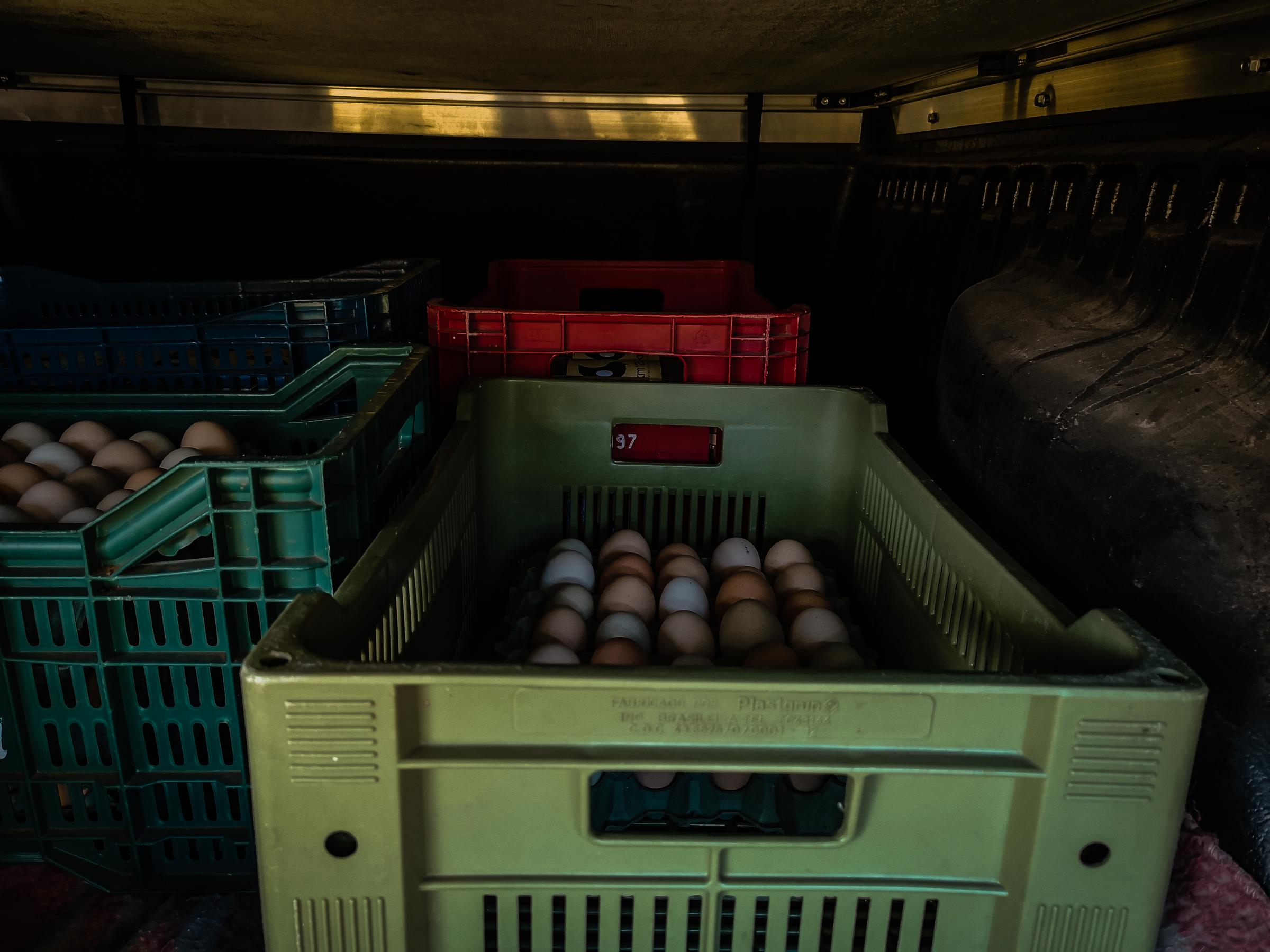 Life of a chicken farm during the Covid-19 pandemic in Brazil - Marco dirige para entregar seus ovos caipiras em um...