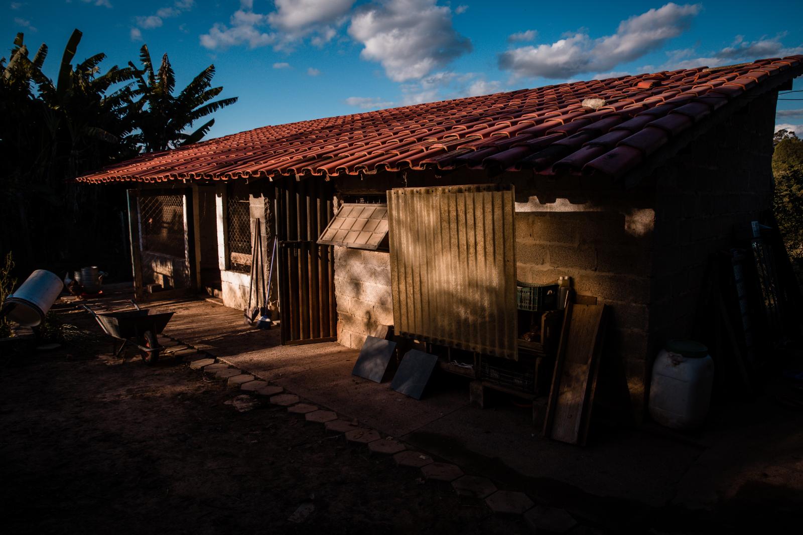 Life of a chicken farm during the Covid-19 pandemic in Brazil | Buy this image