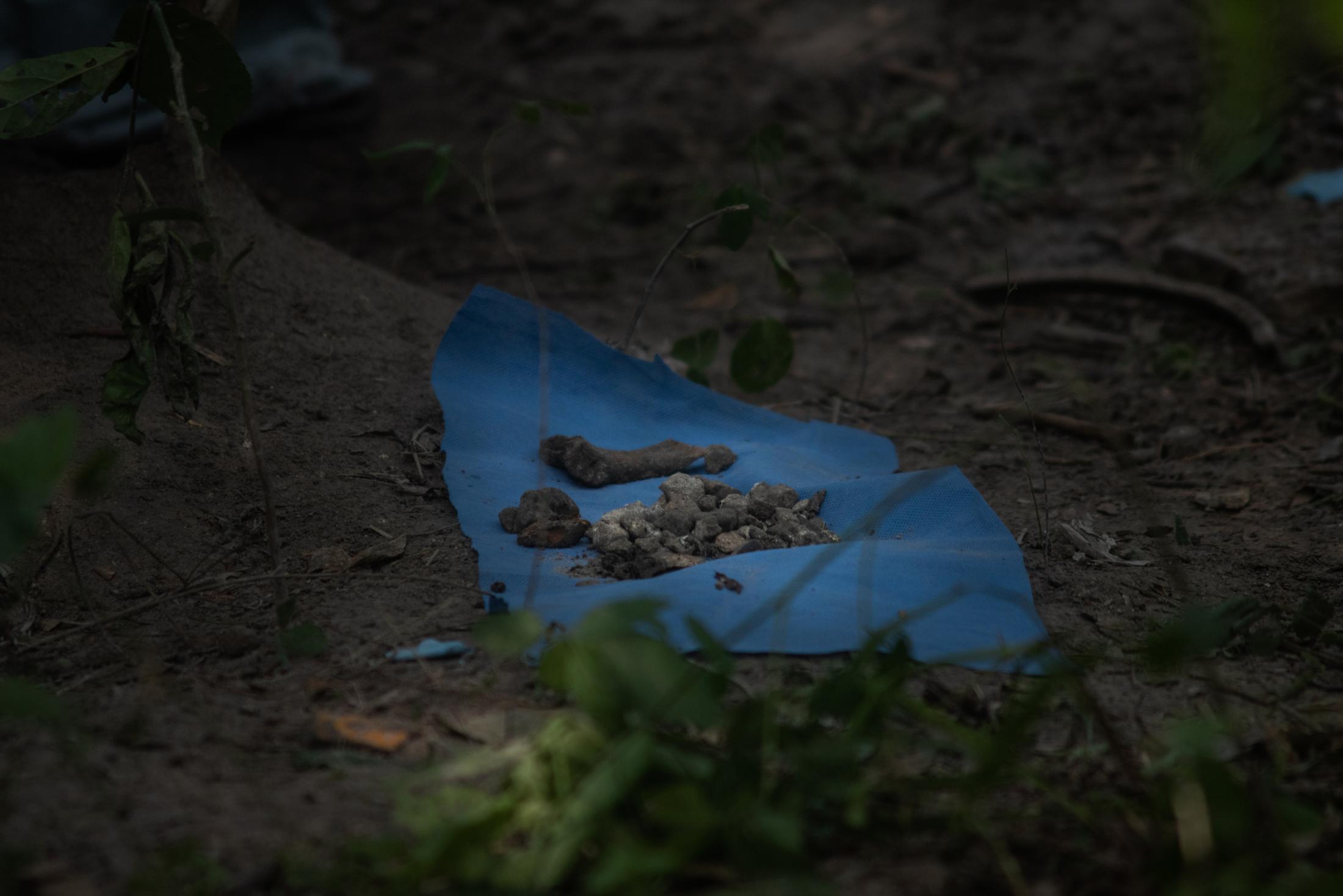 Bones collected by forensic experts inside the ranch &quot;La Gallera&quot; where human...