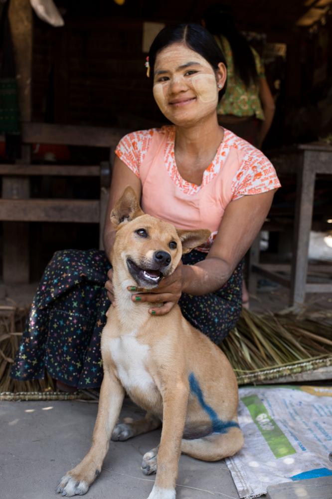 Four Paws Rabies Campaign in Myanmar - 