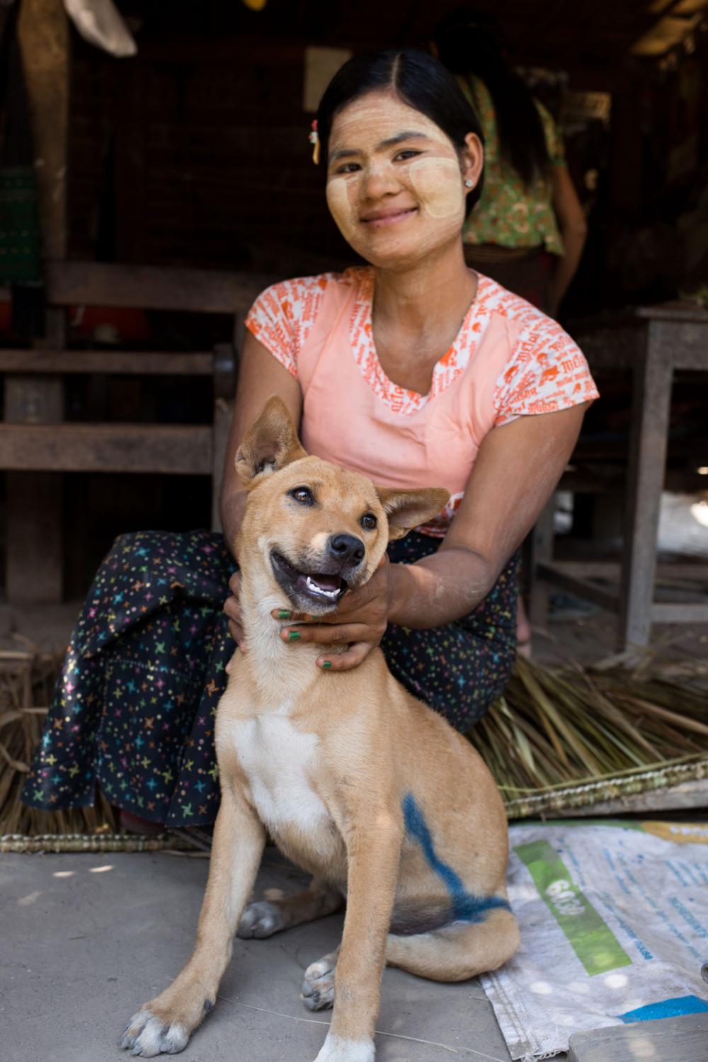 Four Paws Rabies Campaign in Myanmar