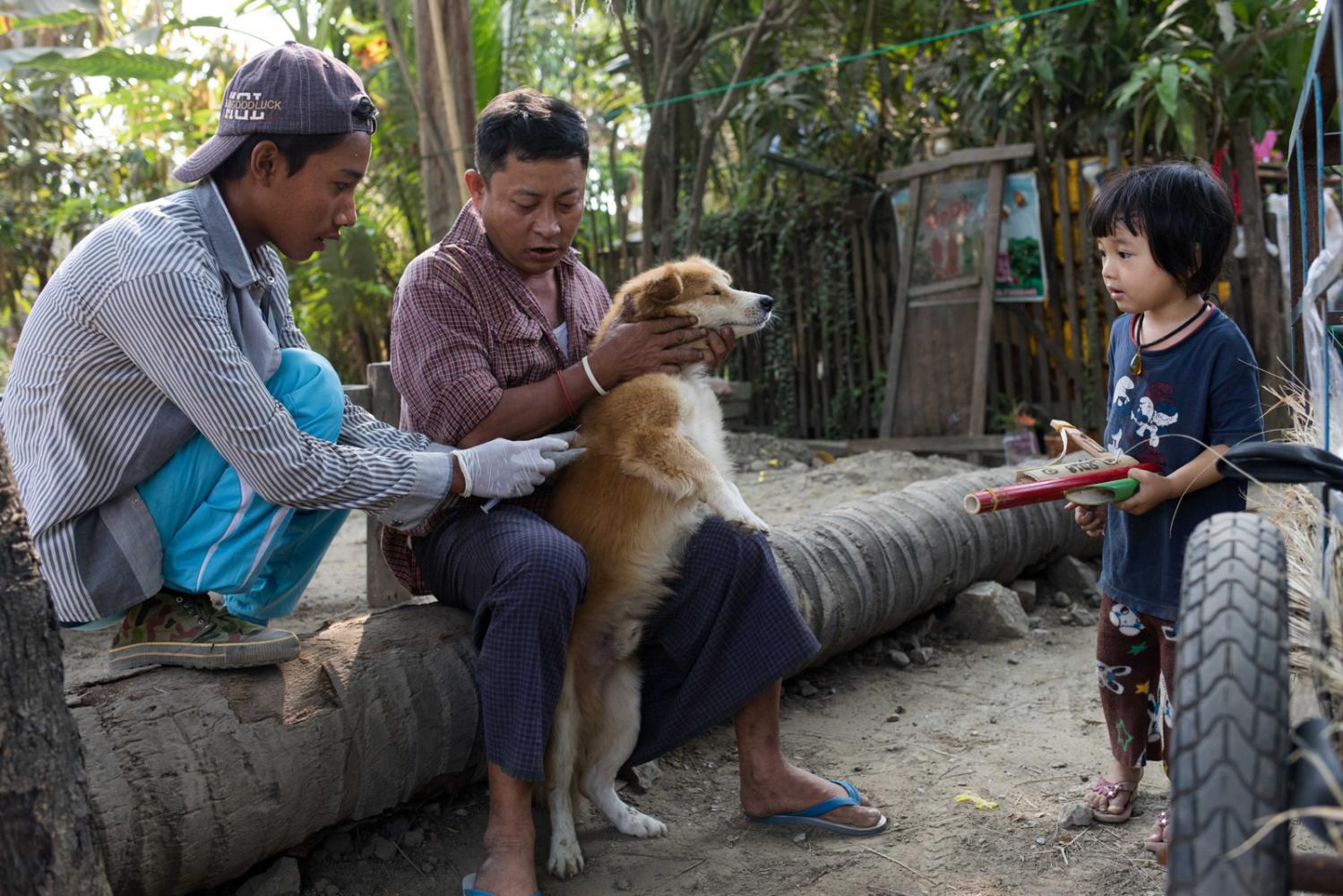 Four Paws Rabies Campaign in Myanmar - 