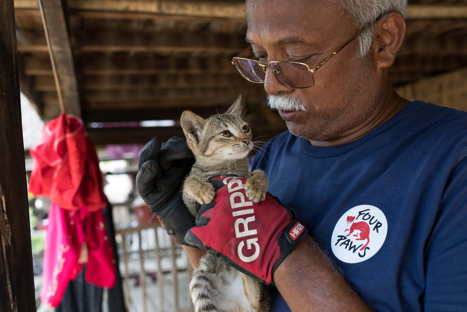 Four Paws Rabies Campaign in Myanmar