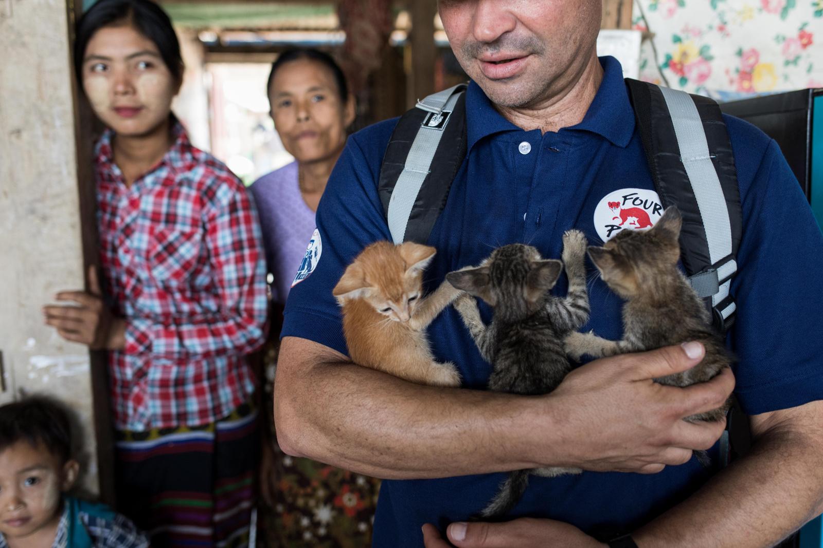 Four Paws Rabies Campaign in Myanmar