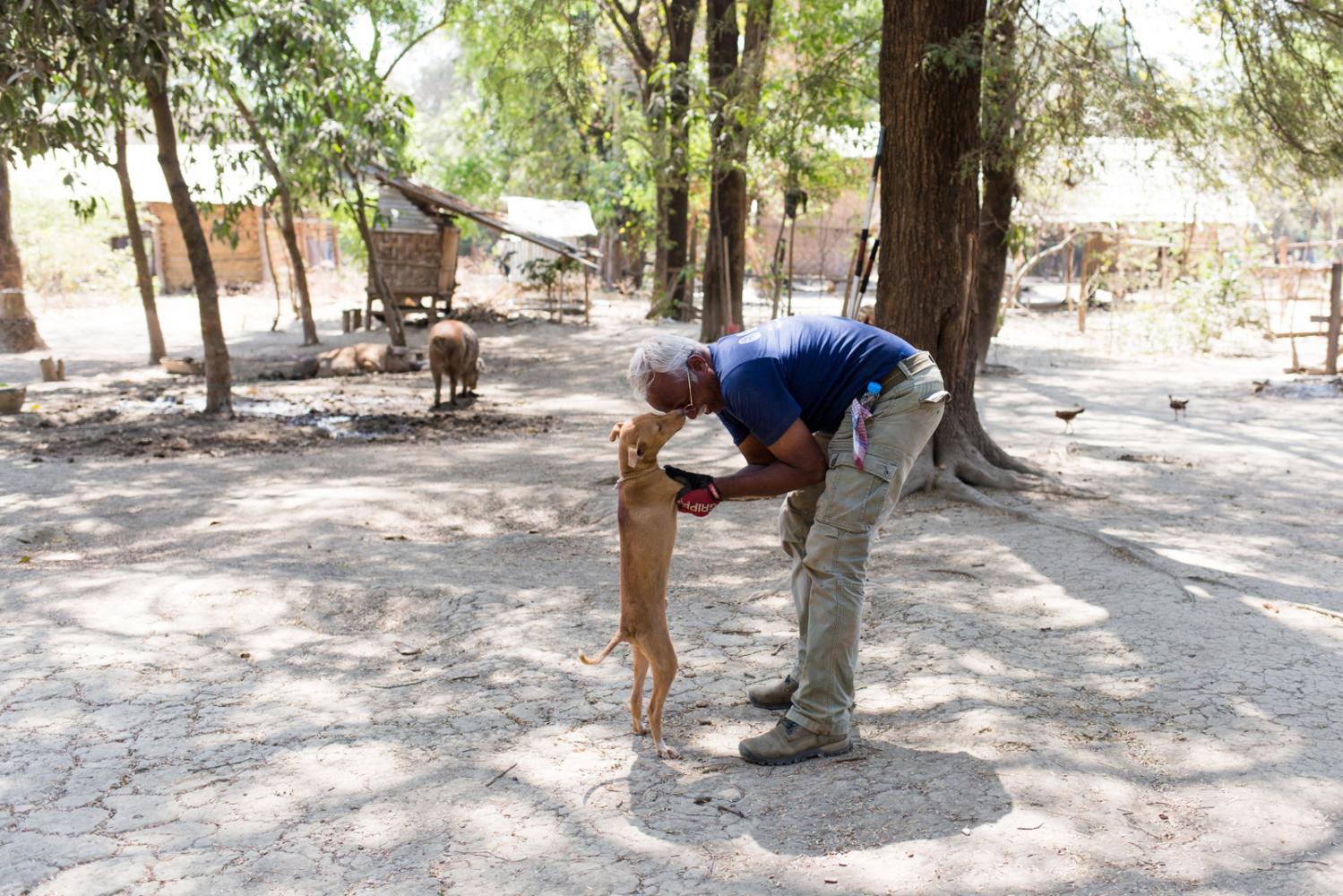 Image from Four Paws Rabies Campaign in Myanmar