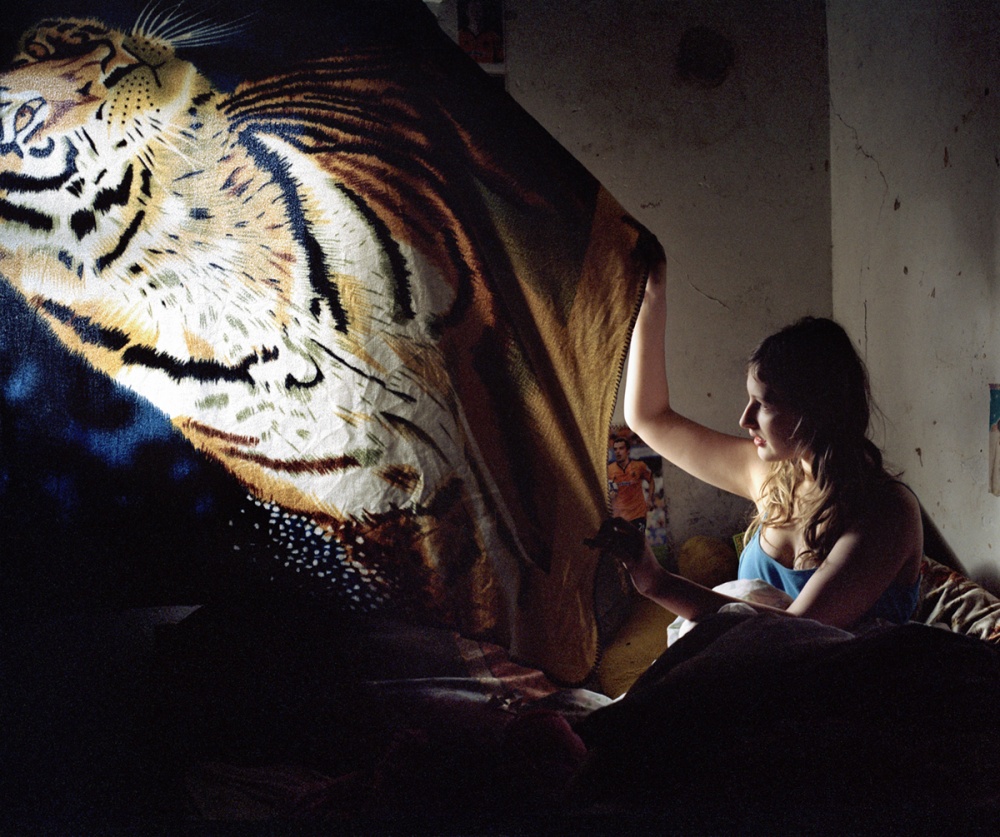 Nicolaâ€™s Tiger curtain, 2010