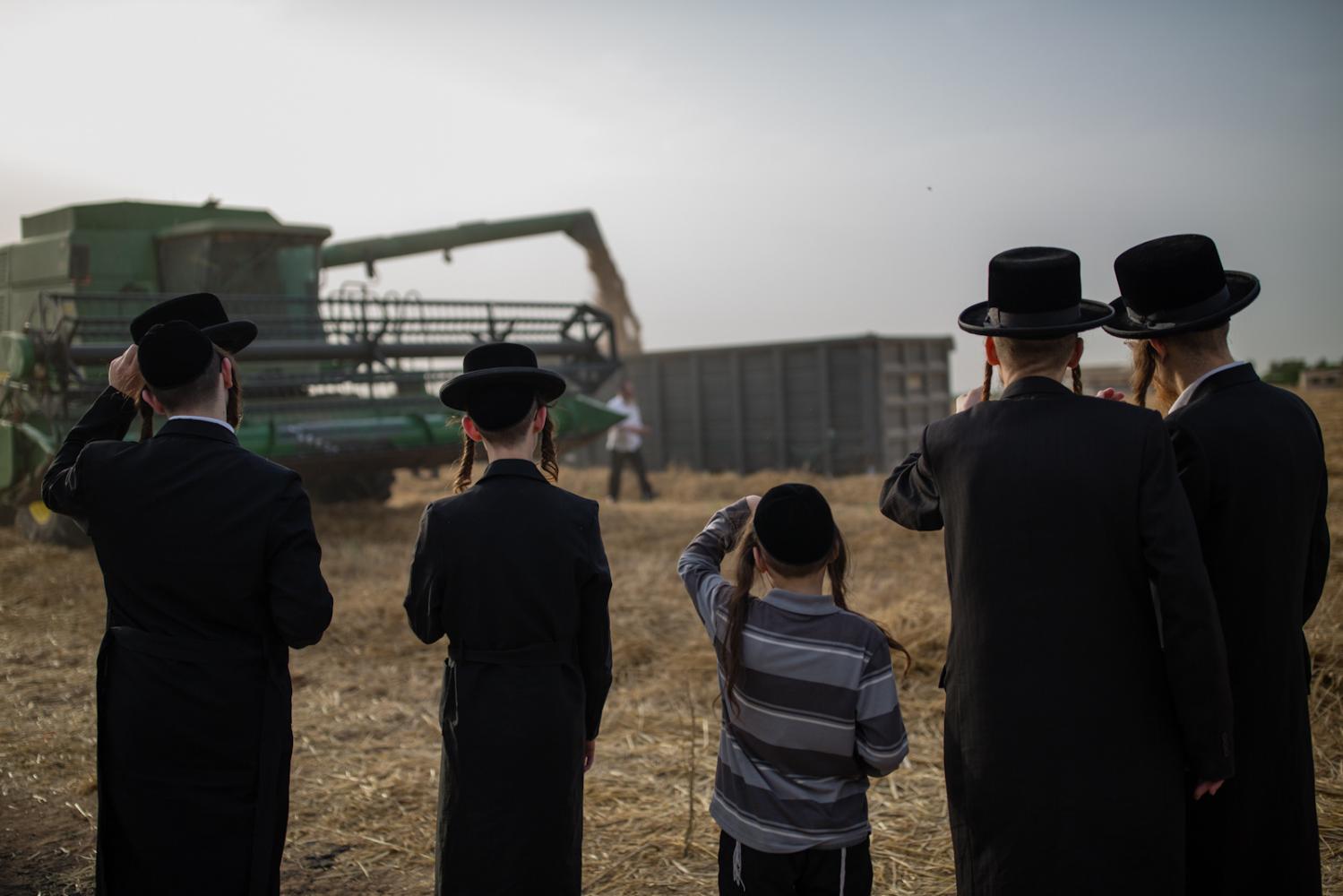 Ultra-Orthodox Jews watch a har...the week-long Passover holiday.