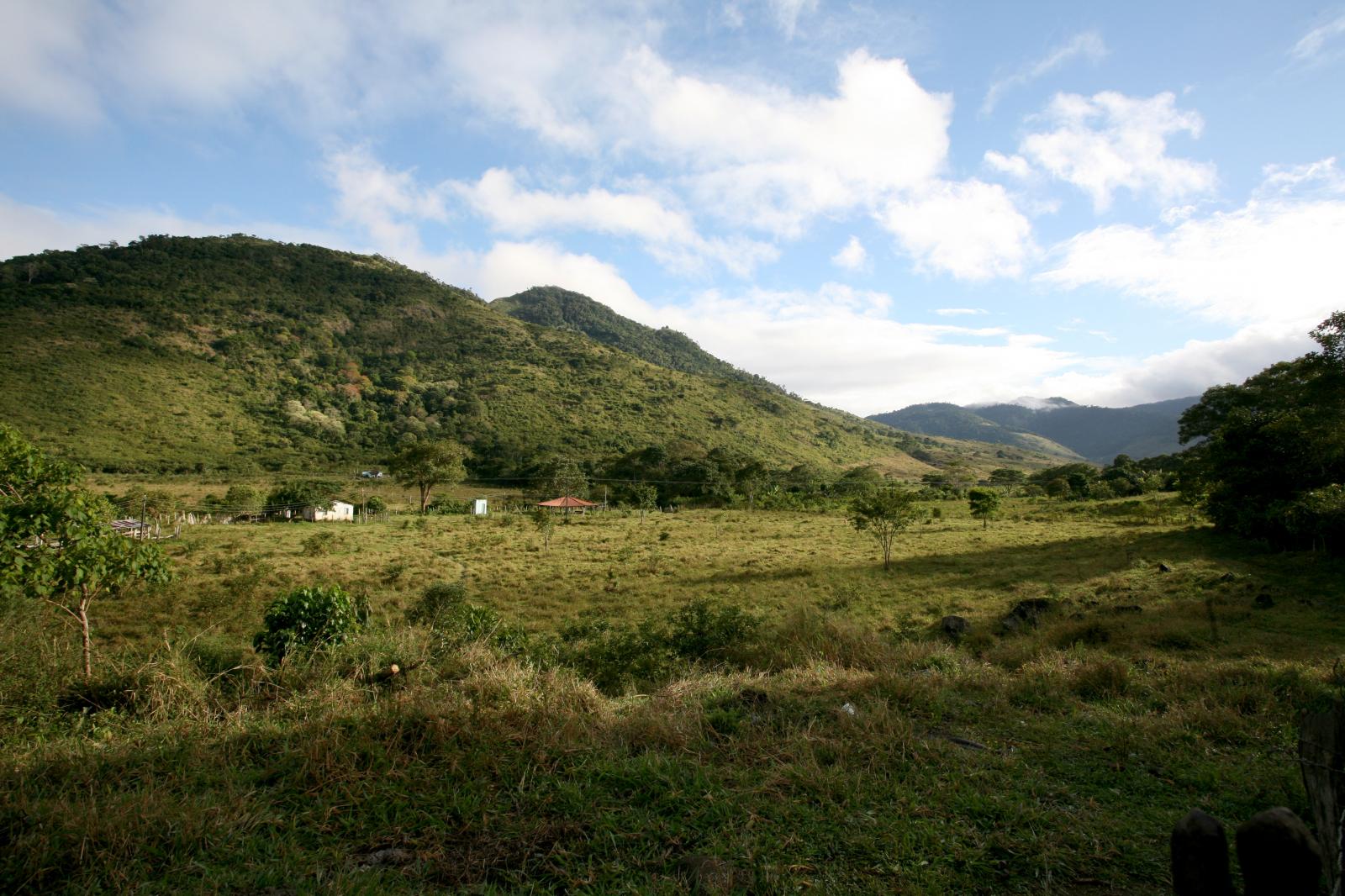 The land belonging to the Patax... Brasil, South of Bahia estate.
