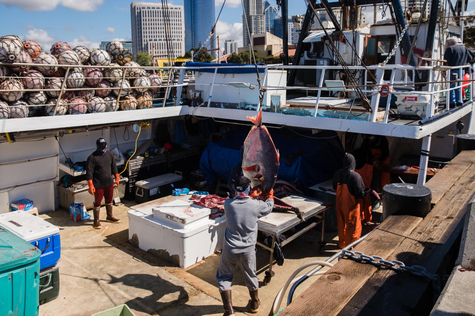 A fisherman gets ready to cut fish on the Pacific Horizon fishing Boat (owned by the Haworth family) at the Tuna Harbor Dockside Market on April 11, 2020 in San Diego, California. Fisherman have had to regroup due to Covid-19. Since local restaurants have been shut down and not every establishment is doing take-out or deliveries, they have to had to lower their cost for the locals who have been purchasing their fish.