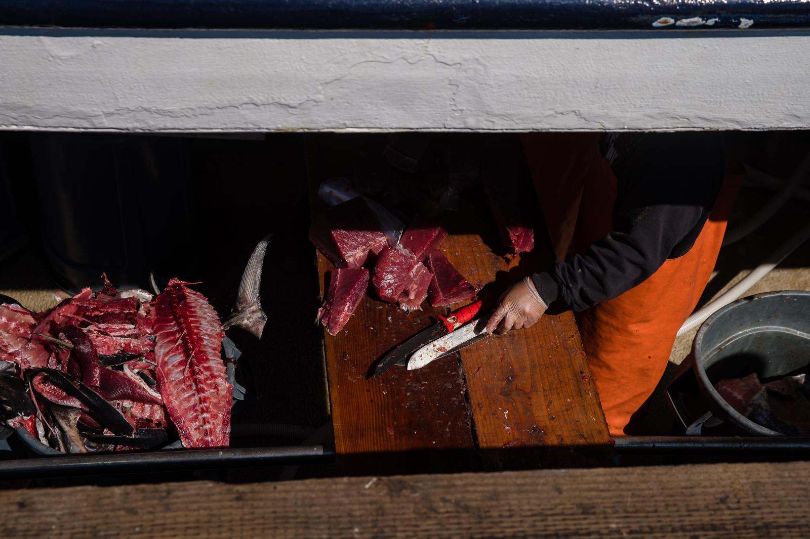 A fisherman cuts fish on the Pacific Horizon fishing Boat, (owned by the Haworth family) at the Tuna Harbor Dockside Market on April 11, 2020 in San Diego, California. Fisherman have had to regroup to stay afloat due to Covid-19. Since local restaurants have been shut down and not every establishment is doing take-out or deliveries, they have to had to lower their cost for the locals who have been purchasing their fish.