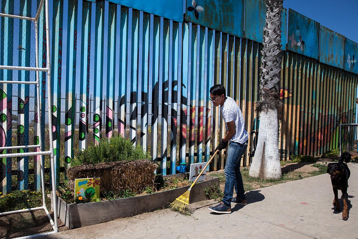 Part of the binational garden with native plants is maintained on both sides of the border fence...