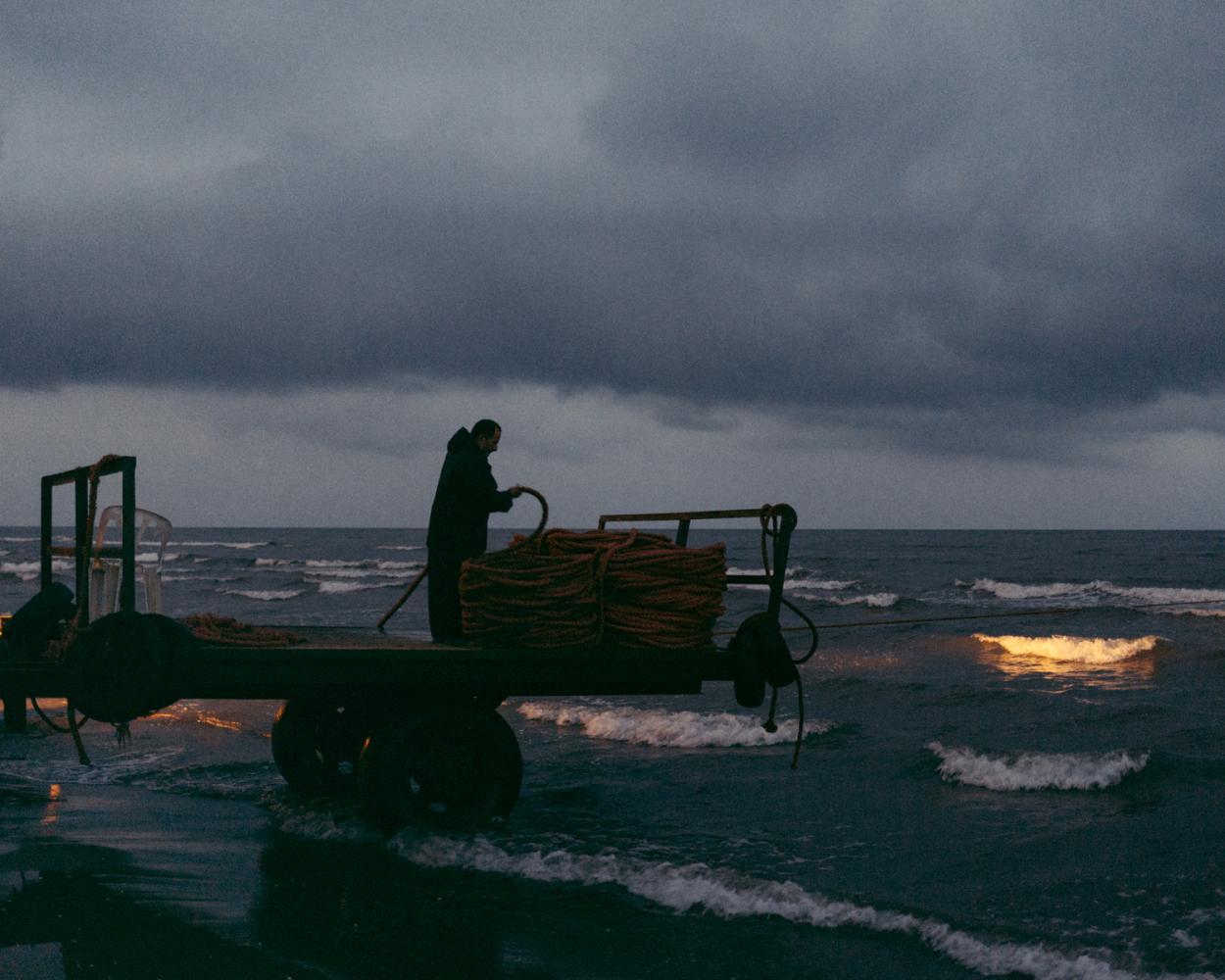 Anzali Wetland - MAMAAT PROJECT | Iranian Artists | Ù¾Ø±ÙˆÚ˜Ù‡ Ù…Ù…Ø§Øª