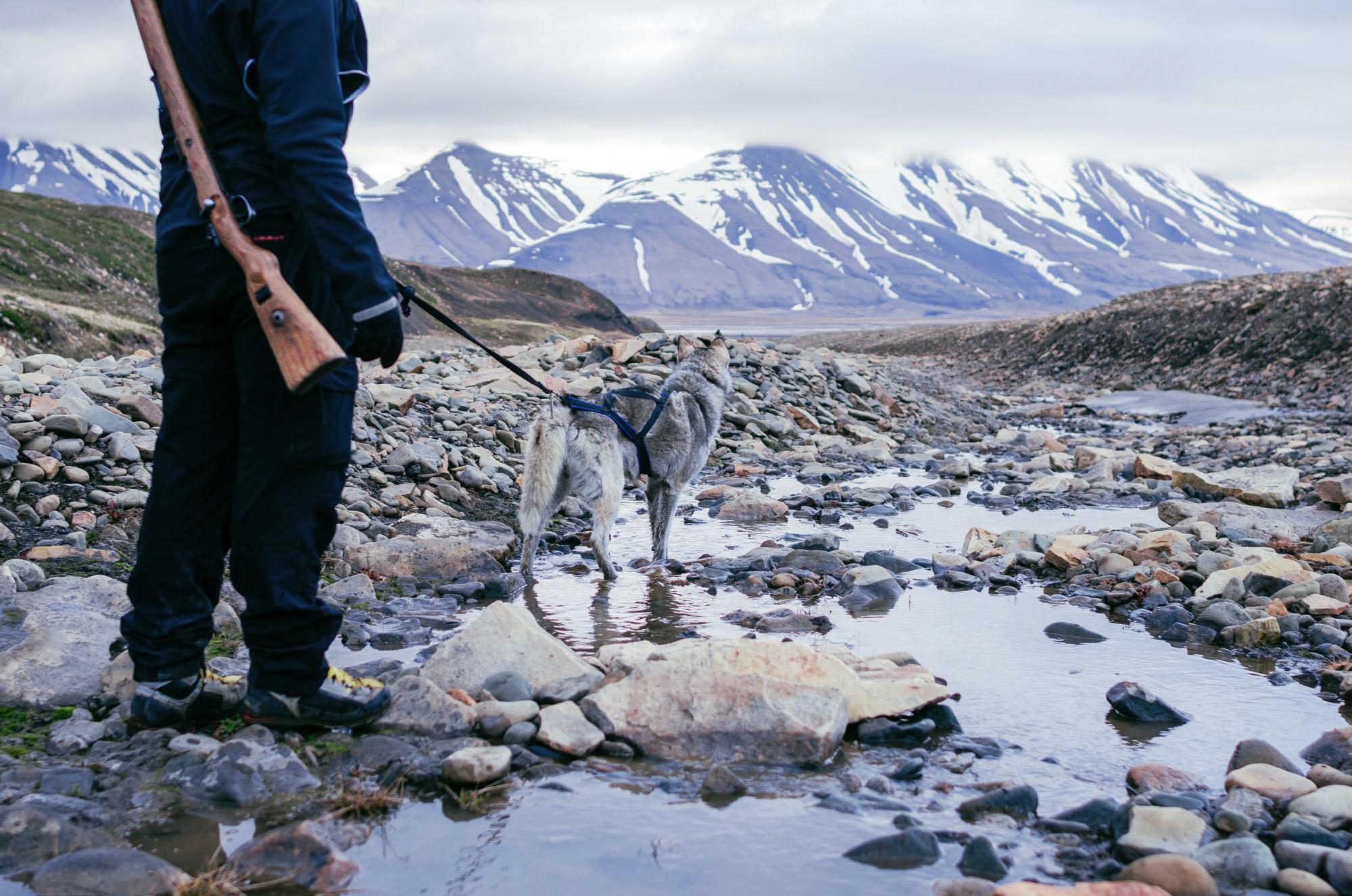 Svalbard - 
