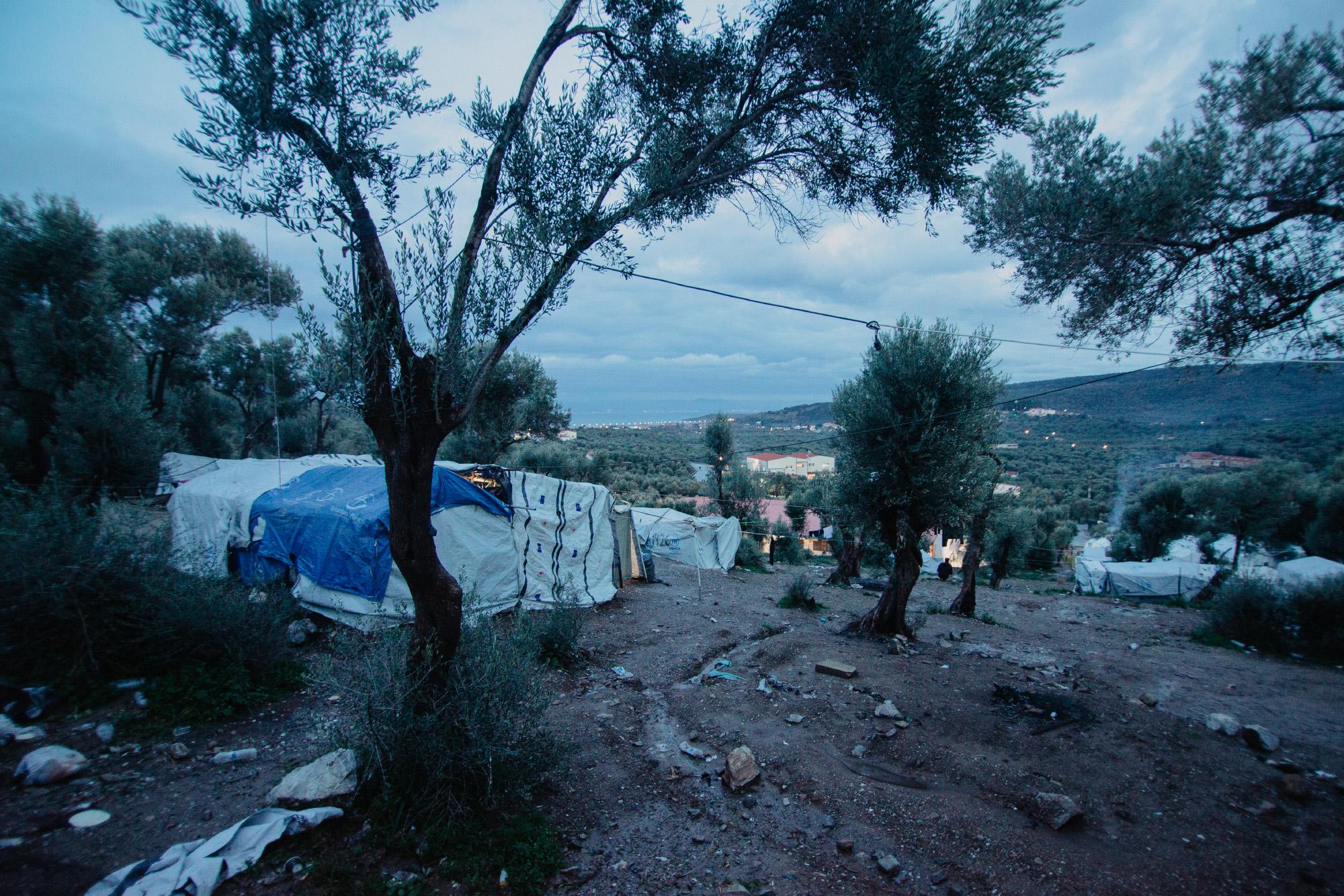 The Olive Grove - The view of the Olive Grove and Mitilini at dusk. 2019.
