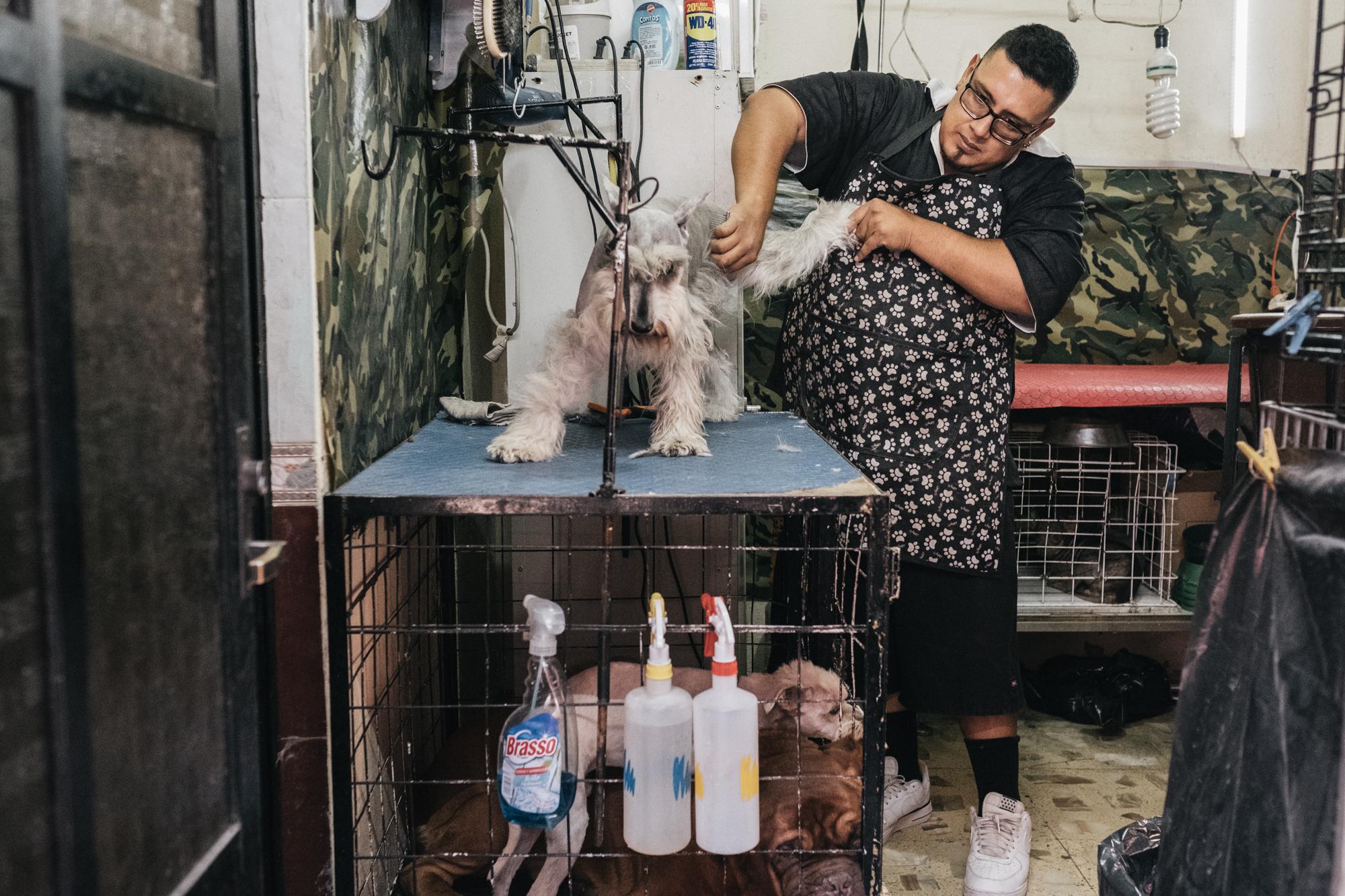 Los Chilangos -  Suaveman (which means Soft Man) is a dog groomer in...