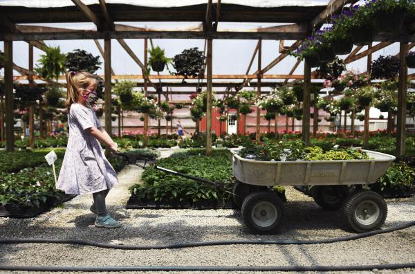 Clair Clanton, 6, pulls a cart of flowers on Saturday, May 2, 2020, at Strawberry Hill Farm. Clair wore a Wonder Woman face mask while in public because of the COVID-19 pandemic. &ldquo;I am in charge of the wagon because I am very strong,&rdquo; Clair said. &ldquo;Just like Wonder Woman.&rdquo;