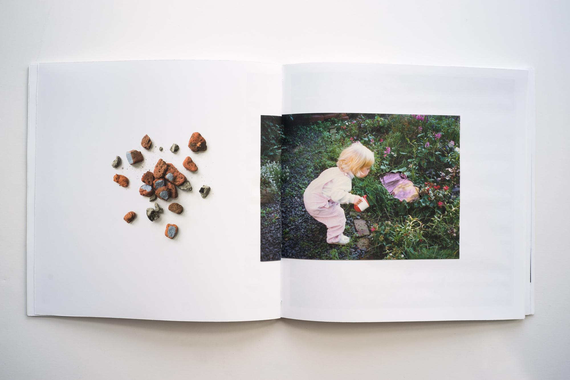 The Perennial Garden (book) WIP - 