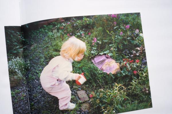 The Perennial Garden (book) WIP