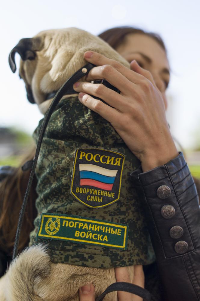 Image from Victory Day in Transnistria -  Anja holds her female dog " Dusha "  wearing a...