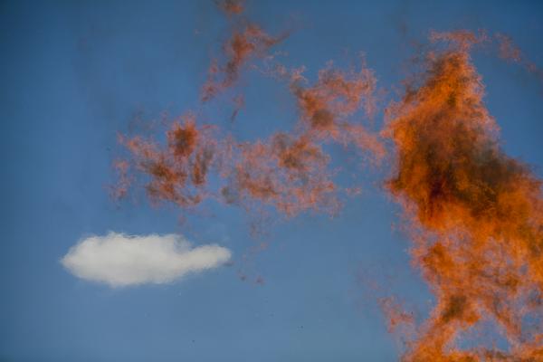 Image from Singles - Flames rise high in the air as a pile of non-native tree...