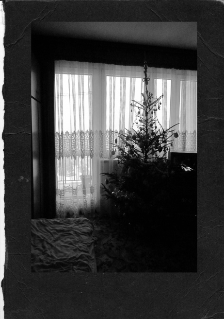 The Christmas tree from the yea... a naked body on the TV screen.