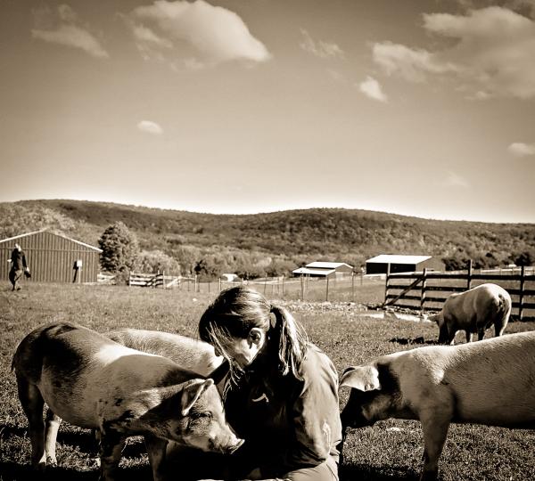 Image from Sanctuary -   Susie Coston, former shelter director at Farm Sanctuary...