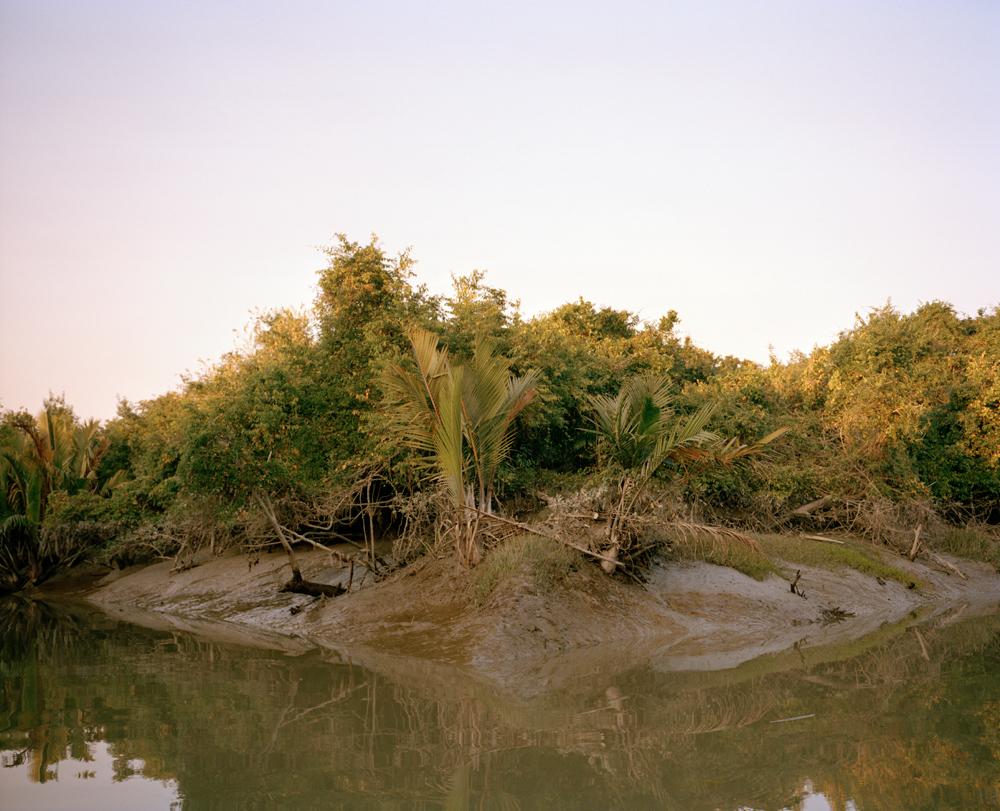 Sundarbans - 