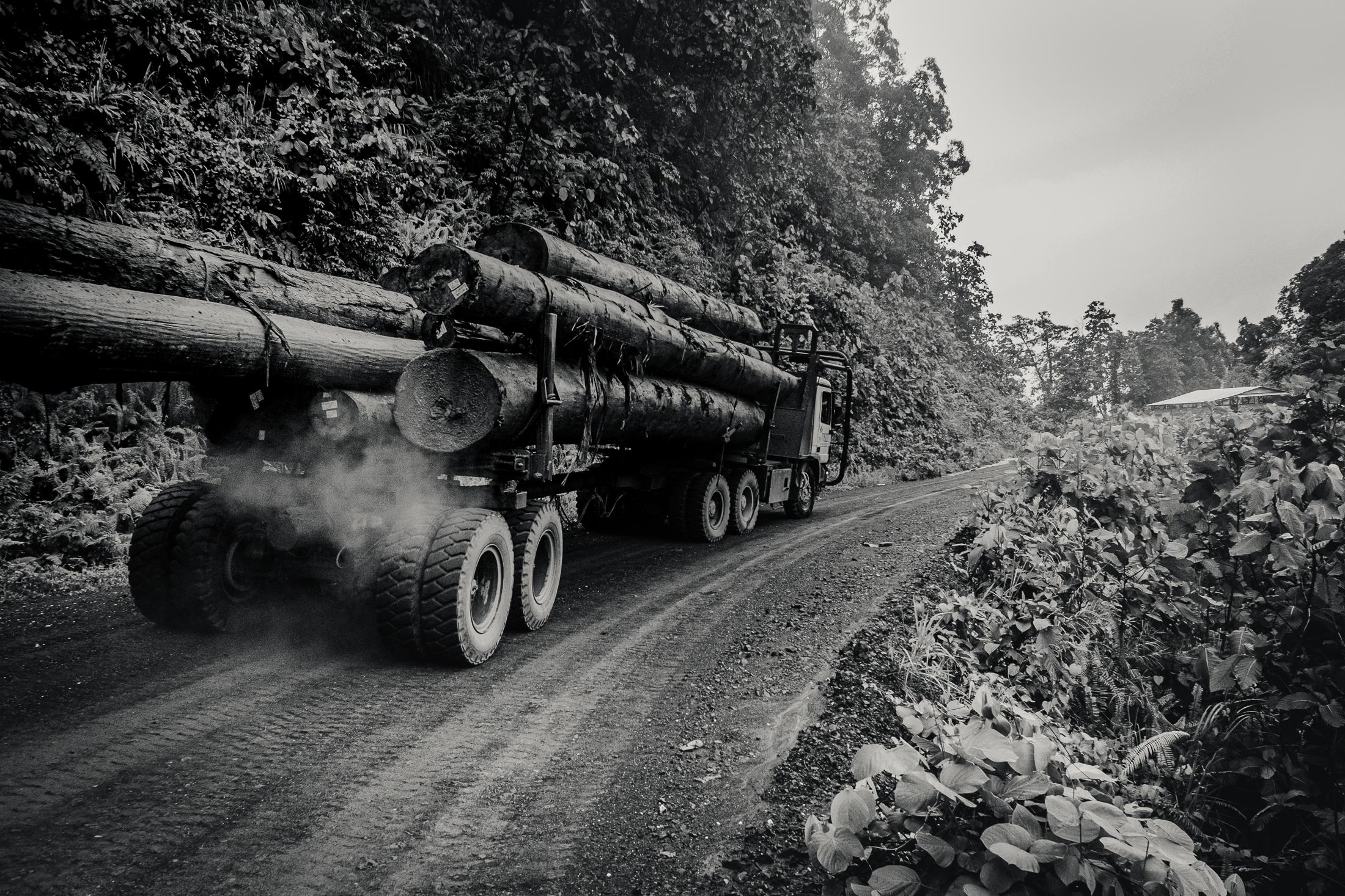 Indigenous Land Rights in Sarawak -  A logging truck passes 'Kilometre 15' - a...