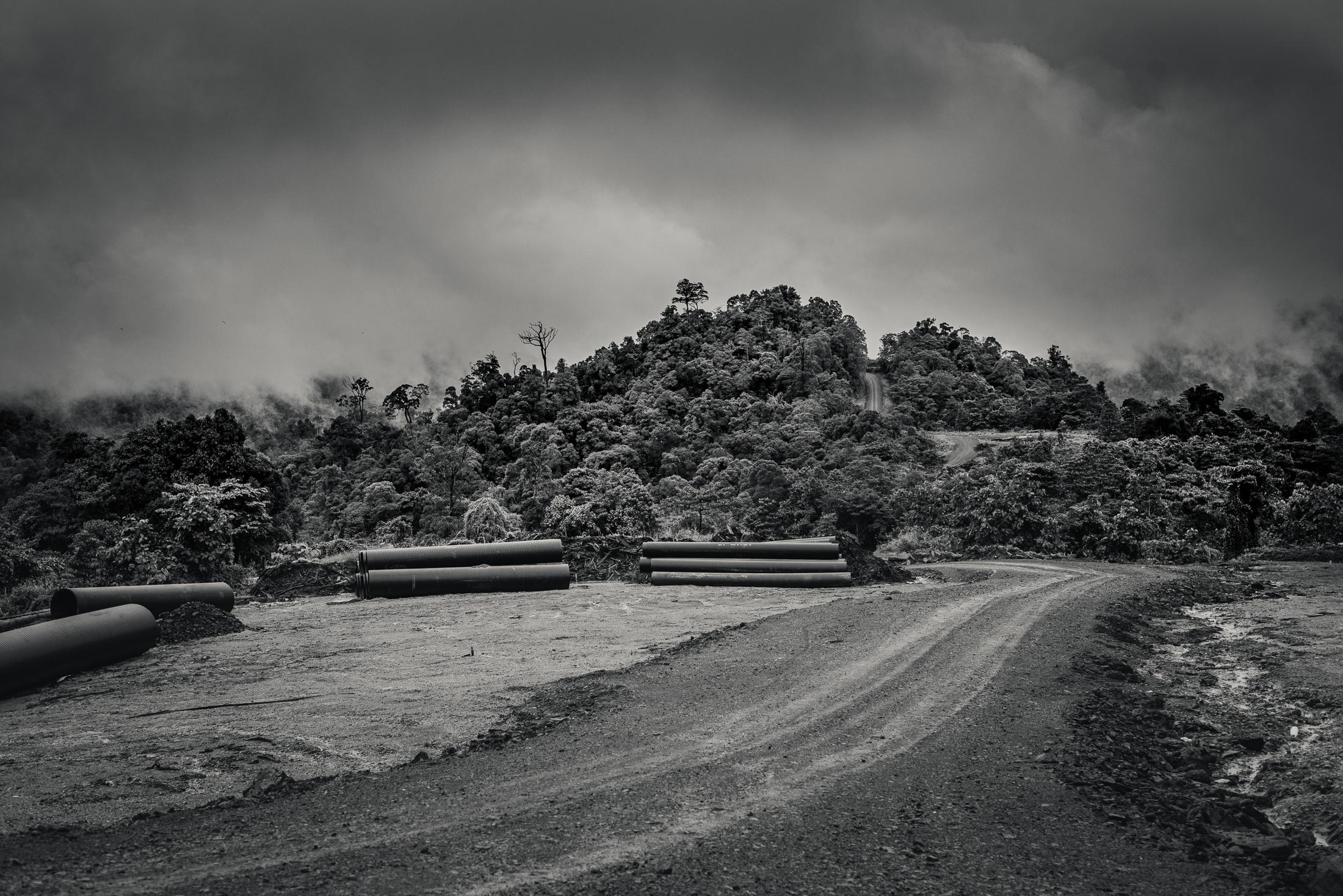 Indigenous Land Rights in Sarawak -  Along a logging   road throuugh the jungles of Borneo,...