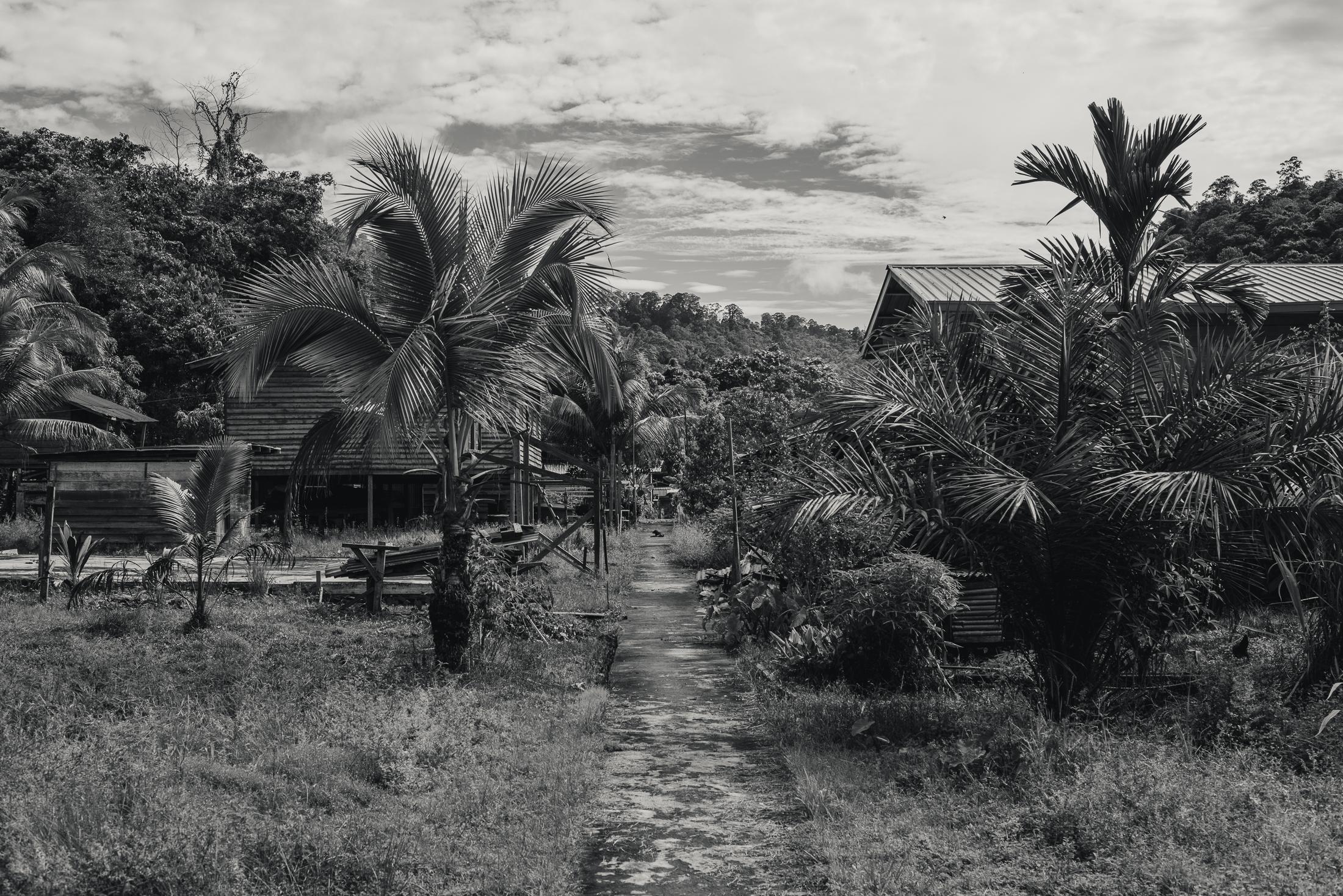 Indigenous Land Rights in Sarawak -  The Long Liam village along the Baram River in Borneo,...