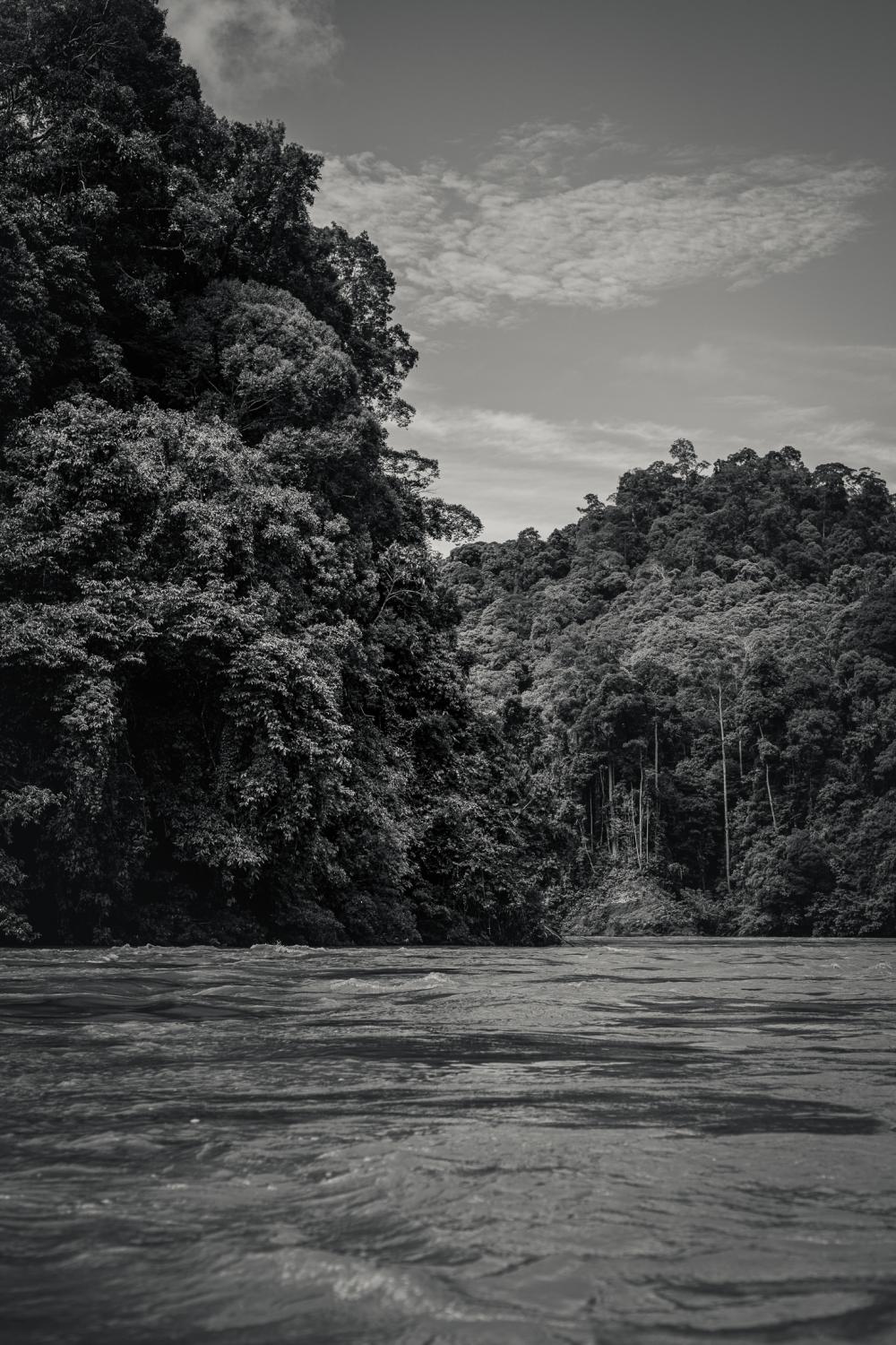 Indigenous Land Rights in Sarawak -  Along the Baram River in Borneo, Malaysia. 