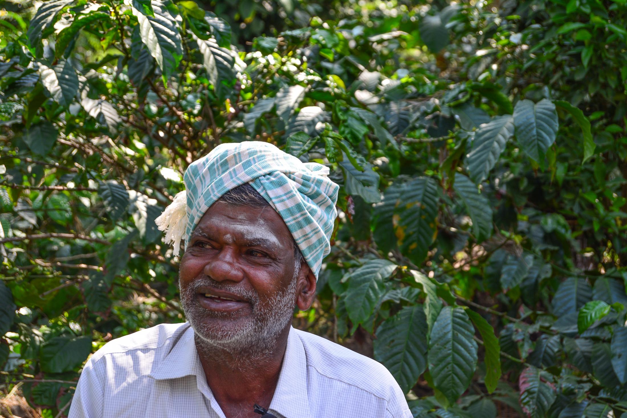 Chandrappa used to grow only ragi and maize until NABARD approached him and helped him by building bunds, trenches, providing him with training and planted silver oak trees. He now grows pepper, vegetables, coffee, banana, coconut and a large variety of fruits. 