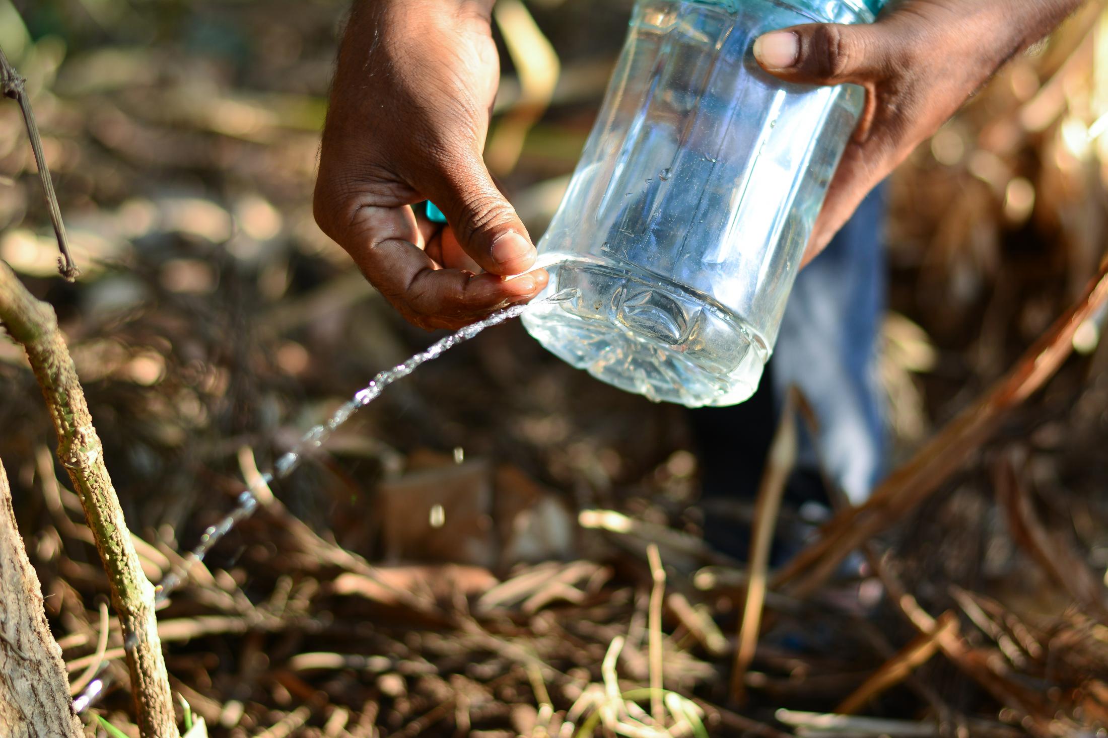 Swamy uses a basic drip irrigation method to water some of his crops. Once he make a tiny opening in the bottle, he puts a stick in it and leaves it by the tree and the water slowly drips into the soil.