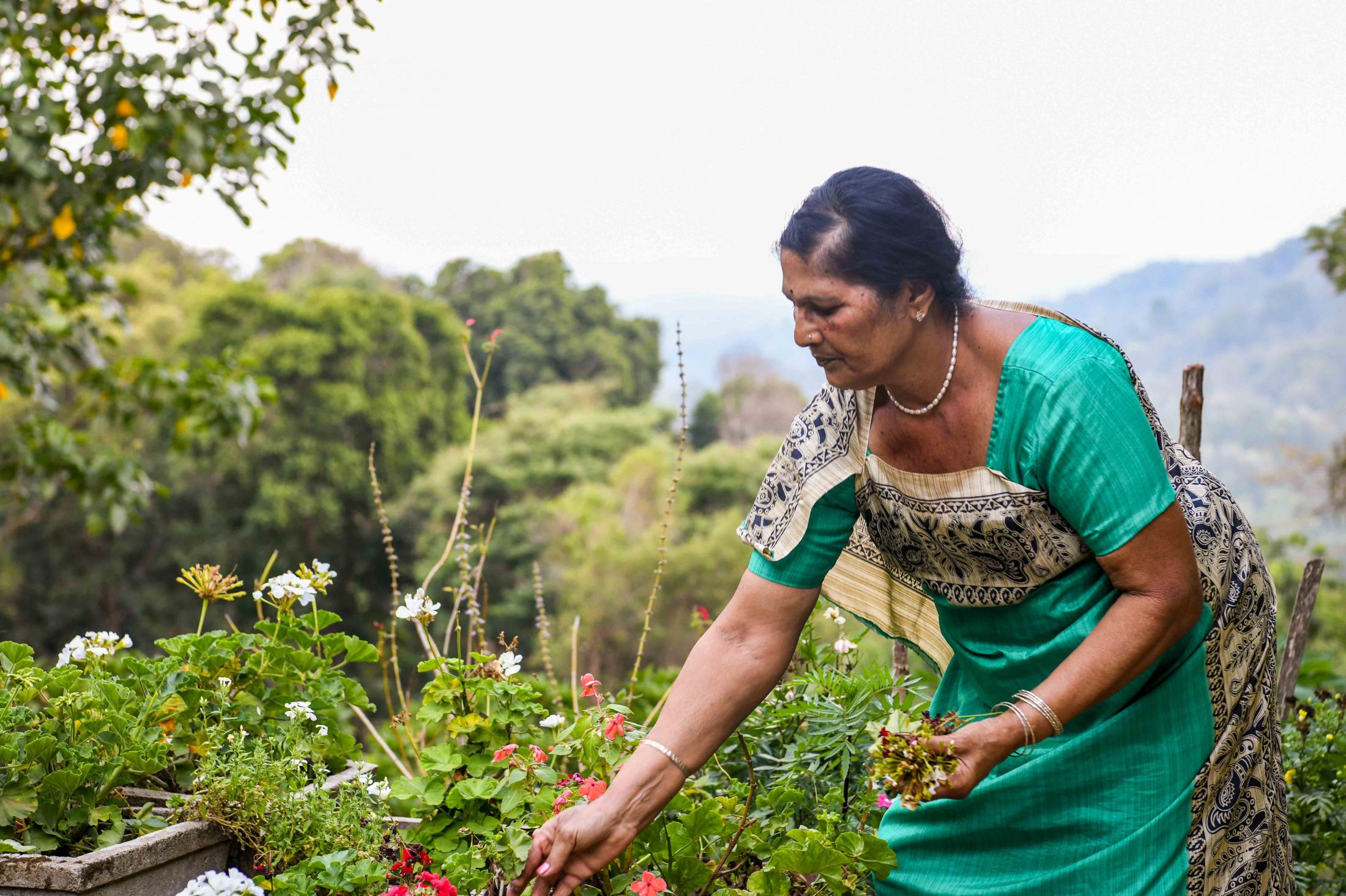 Thammaiah&rsquo;s mother tends to her garden every day. She says it isn&rsquo;t enough if you just harvest bees and have a coffee estate, it is very important to understand what kind of flowers and fruits attract them and cultivate them in your garden. This helps in increasing pollination and nectar production.