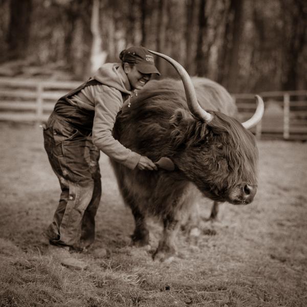 Image from Sanctuary -   Britt Janssen grooming Tallulah, a rescued Highland...