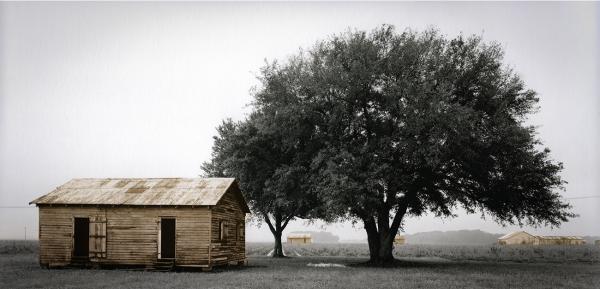  Slave Dwellings -   Slave Dwelling No.6: St James Parish,  Louisiana...