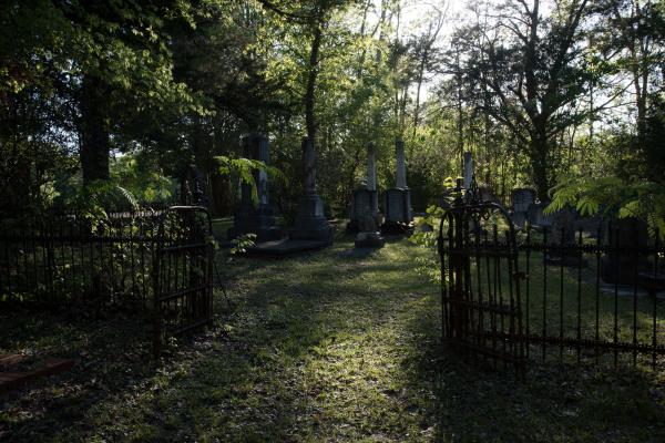 Image from  Slave Dwellings -   Cemetery near Faunsdale Plantation, Alabama  
