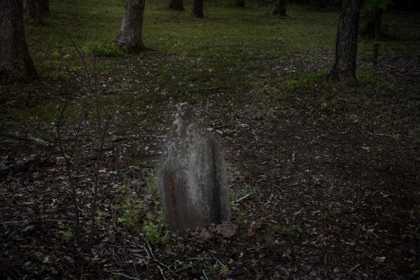 Image from  Slave Dwellings -   Slave Cemetery, Faunsdale, Alabama  