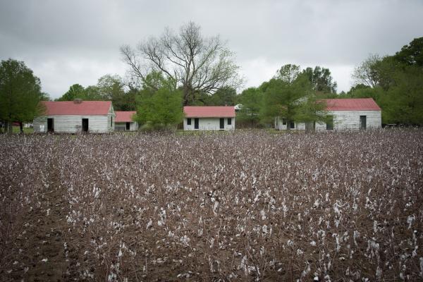 Image from  Slave Dwellings -   Slave Dwelling and Cotton Fields, Concordia Parish,...