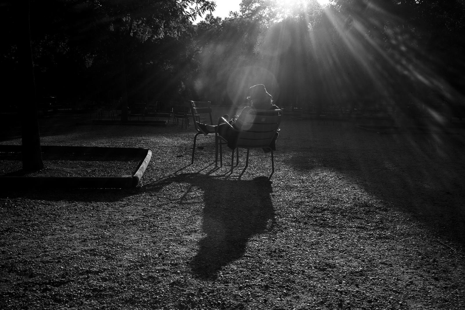 Les chaises du Jardin du Luxembourg by Robb Hill